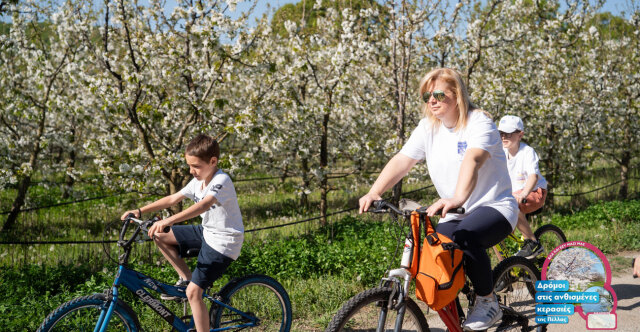 “When the cherry trees of Pella blossom 2026”, a great celebration of taste and tradition