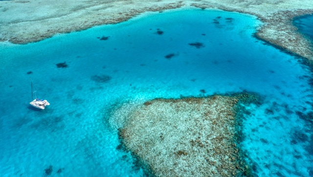 Tragedy in the Maldives: Five Italian tourists killed during diving excursion