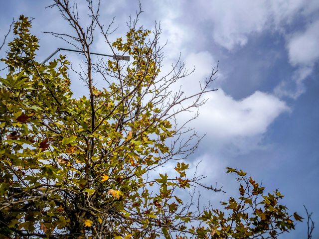 Clouds, rain and african dust today — When temperatures will reach 30°C