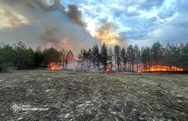 Russia reports stable levels of radioactivity on its territory after the Chernobyl fire