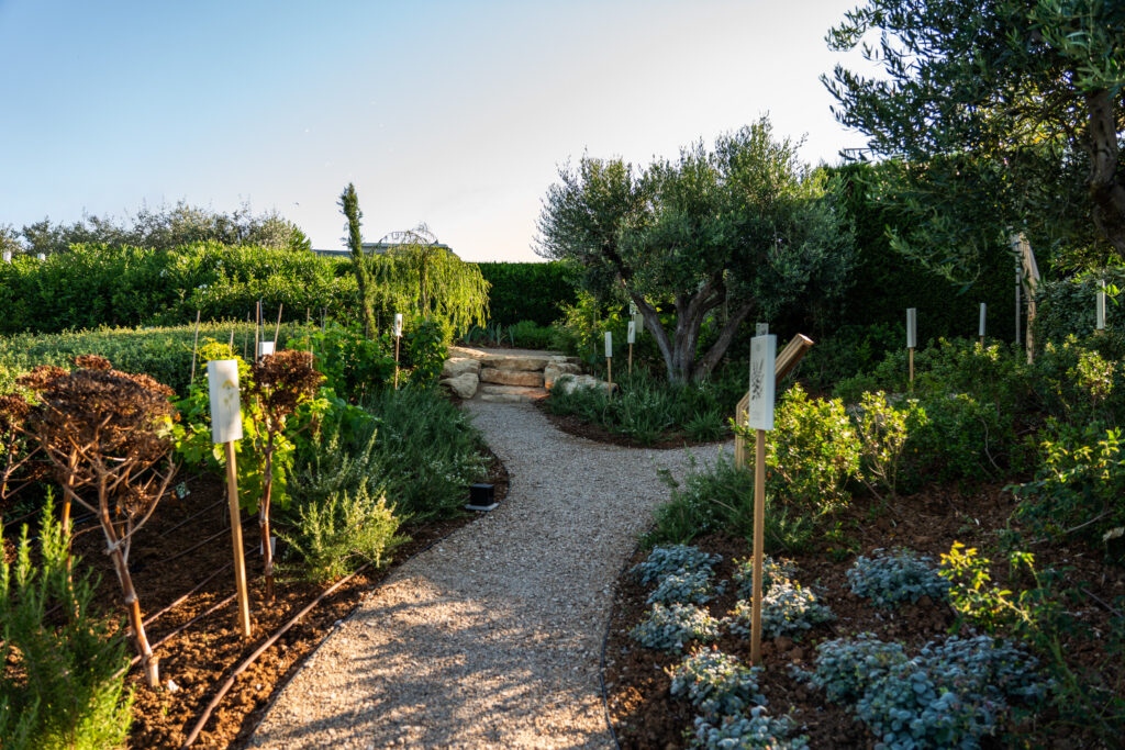 Aristotle’s Gardens come to life again in Halkidiki, against the backdrop of Mount Olympus (Photos)