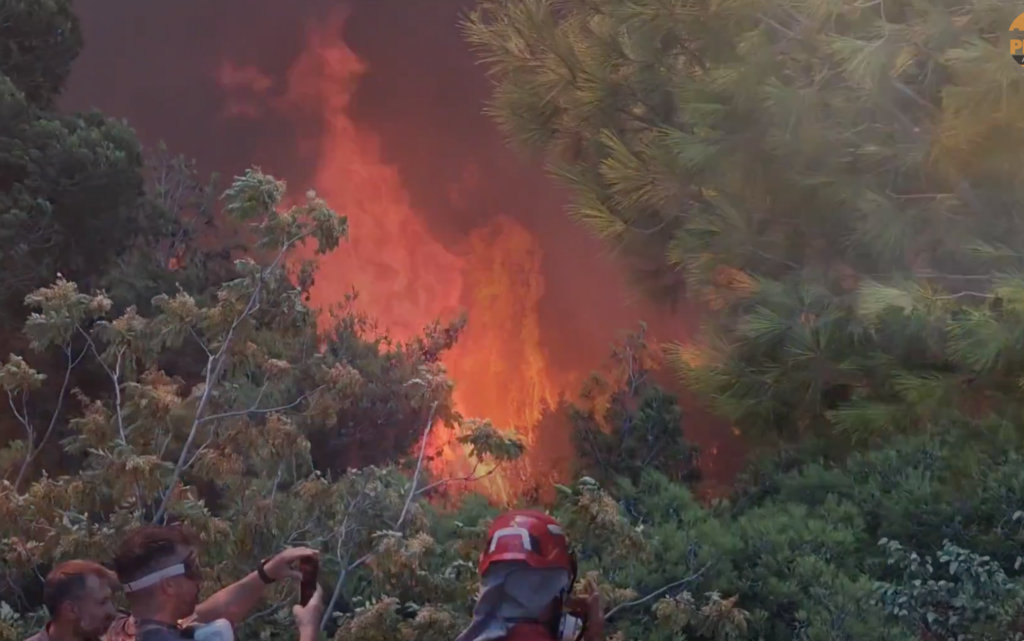 Massive Blaze in Porto Germeno Reaches “Megafire” Proportions: Huge Flames Threaten Agia Paraskevi and Agios Nektarios (updates)
