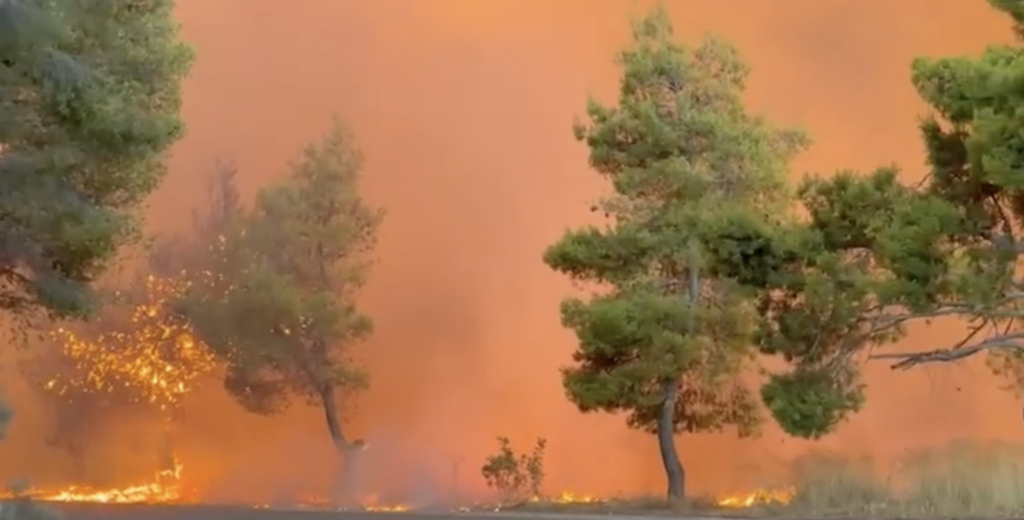 Major fire front in Attica-Boeotia: Blaze from Porto Germeno reaches the Kithairon ridge, battle against the flames in Veniza, evacuation orders issued for Megara (updates)