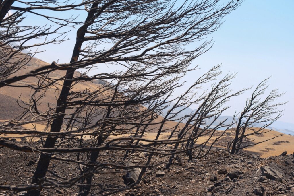 Heartbreaking images emerge from Rethymno the day after deadly wildfire